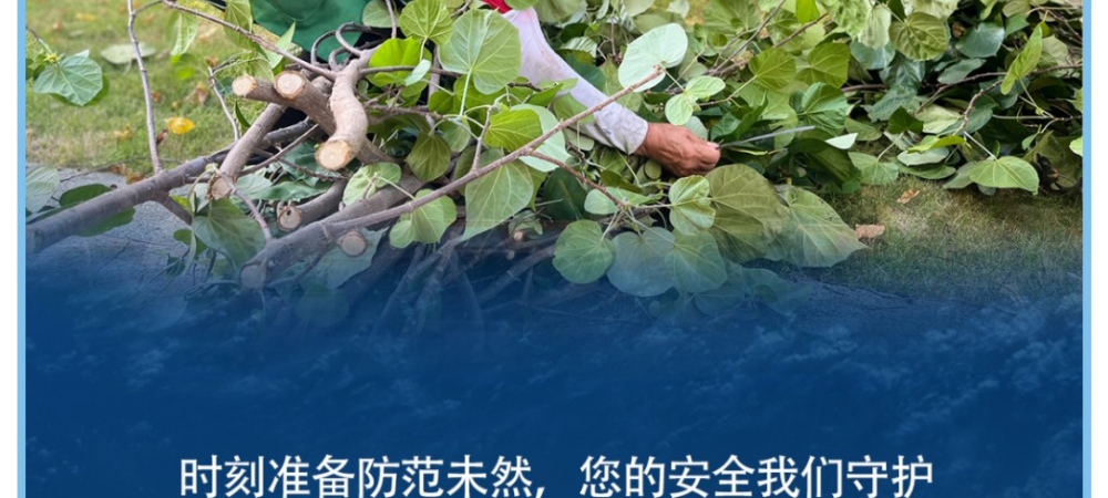 网页捕获_9-8-2023_14251_mp.weixin.qq_48.jpg