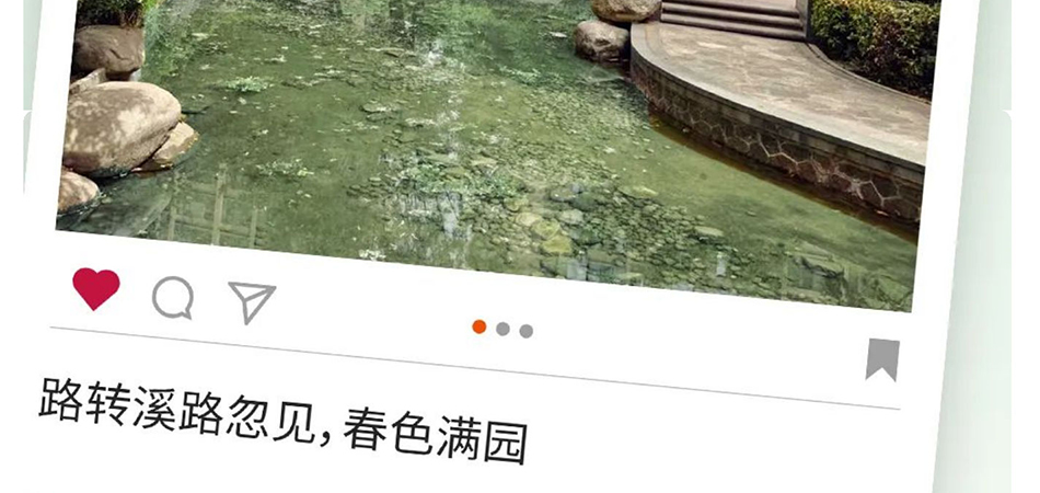 十年之后，美丽依旧_壹伴长图1_10.jpg