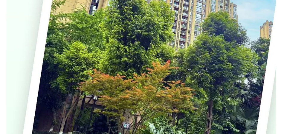 十年之后，美丽依旧_壹伴长图1_16.jpg