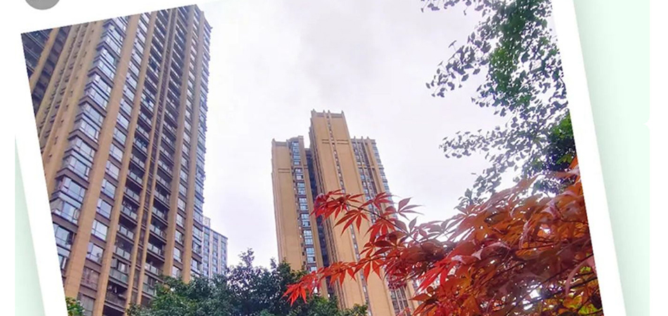 十年之后，美丽依旧_壹伴长图1_19.jpg