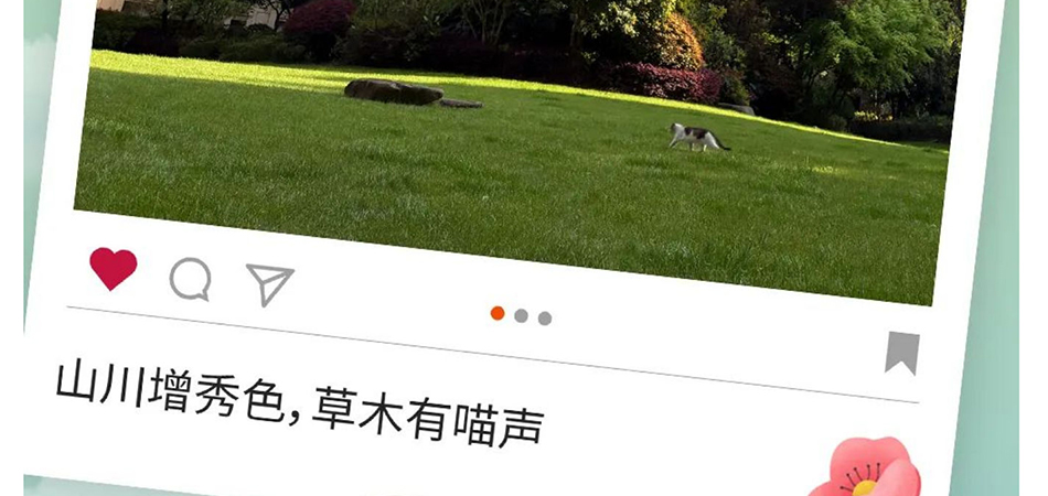 十年之后，美丽依旧_壹伴长图1_38.jpg
